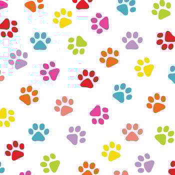 dog paw pattern vector