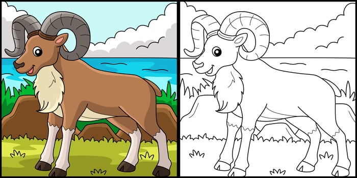 Urial Animal Coloring Page Colored Illustration vector