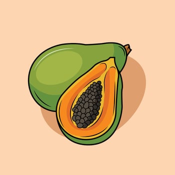 Illustration of a Papaya vector