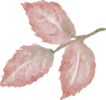 watercolor blooming rose branch flower bouquet elements png