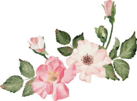 watercolor blooming rose branch flower bouquet png