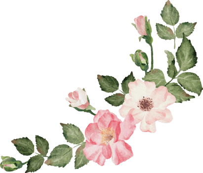 watercolor blooming rose branch flower bouquet png