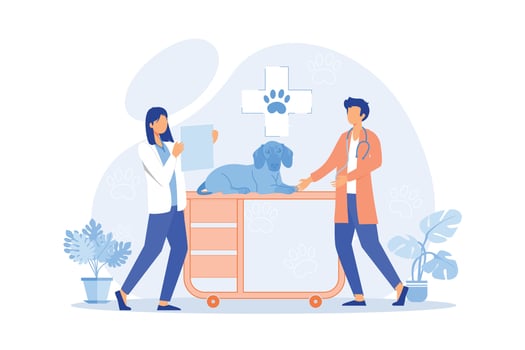 Vet clinic hospital, surgery, vaccination services, animal clinic, pets medical care, veterinary service, diagnostic equipment flat design modern illustration vector