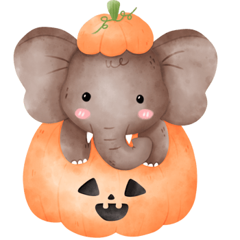 Elephant in Halloween pumpkin png
