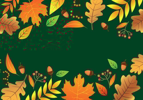 Autumn Leaves Vector Border Template. Autumn Dark Green Background with Colorful Leaves and Acorn