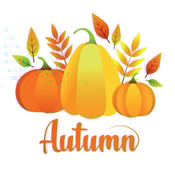 Autumn Vector Illustration of Pumpkins and Leaves for Greeting Card