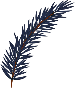 Blue Natural Fir png