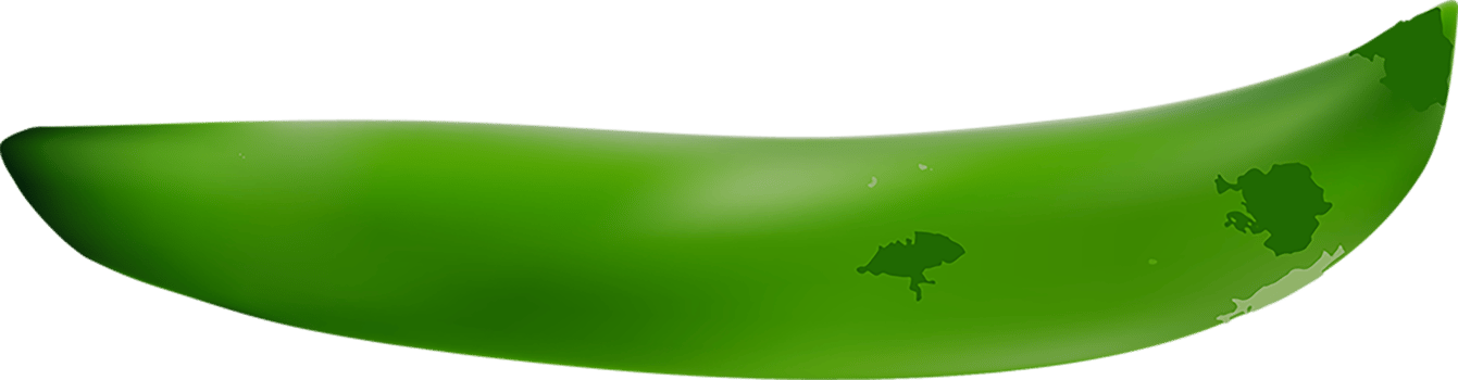 Green Pod of Ripe Peas cut out png