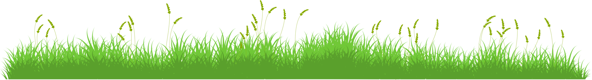 green grass. grass field png