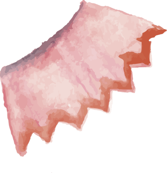 watercolor pencil sharpener trash png