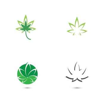 Canabis leaf vector illustration icon design