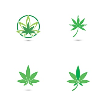 Canabis leaf vector illustration icon design
