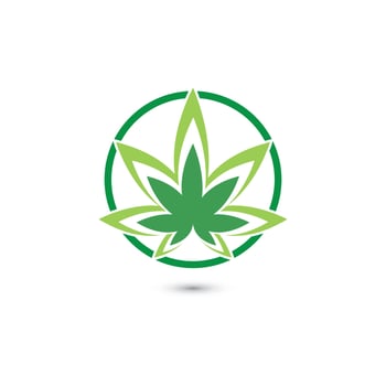 Canabis leaf vector illustration icon design