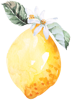 Fresh fruits sliced,lemons drawing with watercolor.Citrus fruits contain vitamin C.Yellow sour lime. png