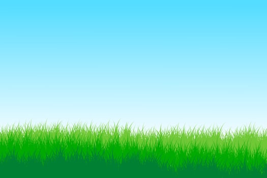 grassland. meadow grass with blue sky background vector