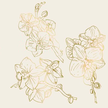 Vector flower of orchid. Ink illustration isolated.