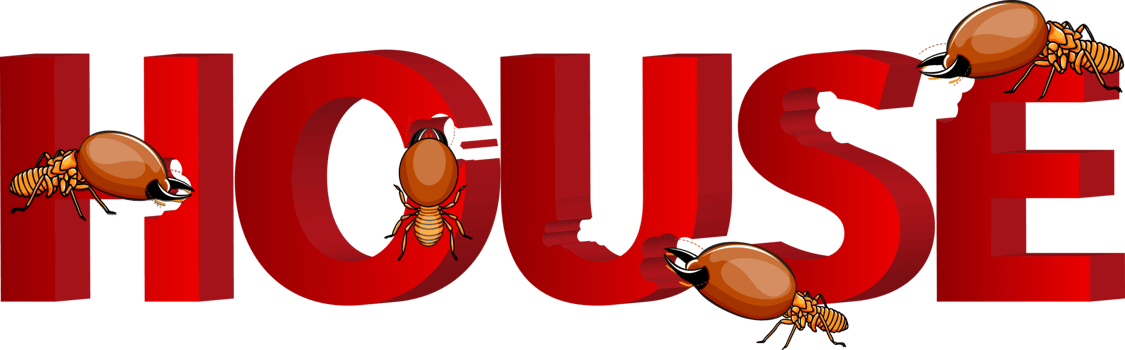 Cute cartoon termite png