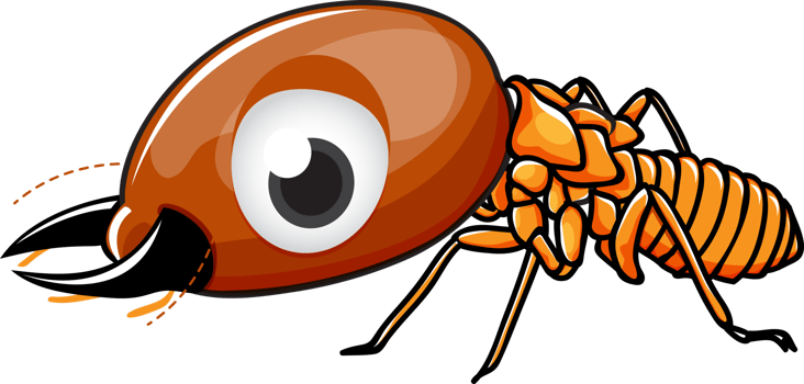 Cute cartoon termite png