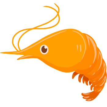 cute shrimp png