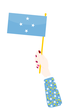 Micronesia Flag hand drawn,Dollar hand drawn png