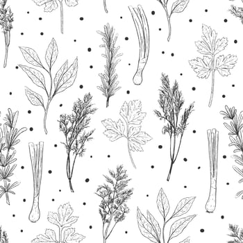 monochrome seamless pattern from herbs. Laurel, rosemary, dill, parsley, basil. Black and white endless texture. Vector illustration. Vintage.