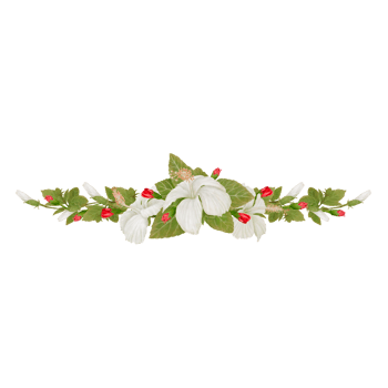 Hibiscus Bouquet in Watercolor with a Curve Decoration png