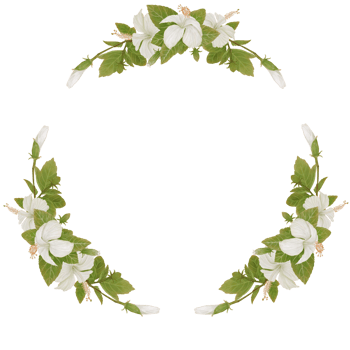 Wreath of Tropical Flowers in Hibiscus Watercolor png