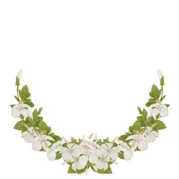Tropical Flowers Half Crescent Wreath in Watercolor Hibiscus png