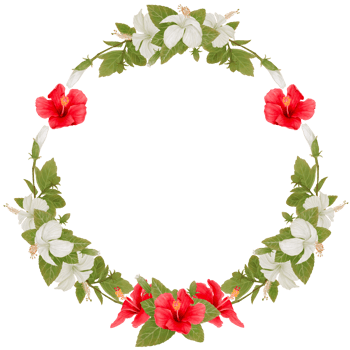 Wreath of Tropical Flowers in Hibiscus Watercolor png