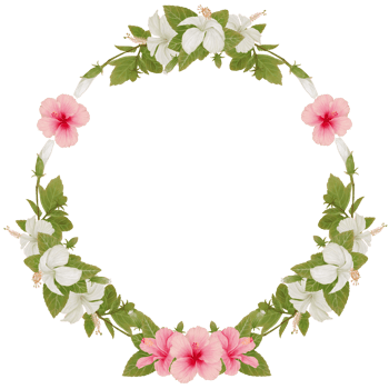 Wreath of Tropical Flowers in Hibiscus Watercolor png