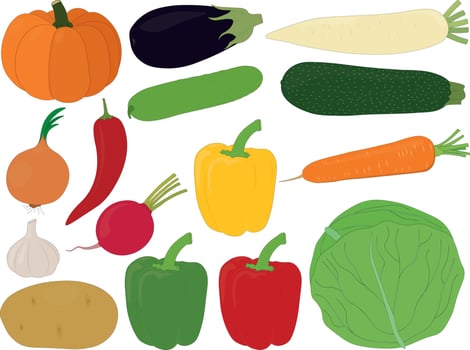 Various vegetables harvest collection vector illustration