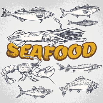Vector hand drawn seafood restaurant illustration. Vintage style. Retro sketch background. Template