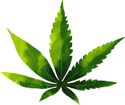 Watercolor Hand drawn Cannabis png