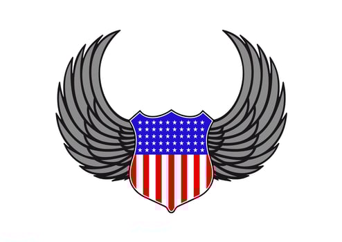 Heraldic symbol of USA vector