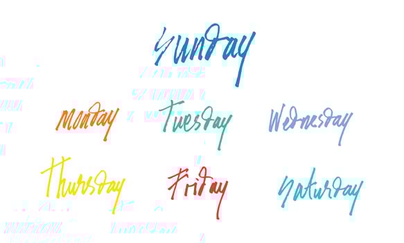 cute day text lettering for weekly planners vector