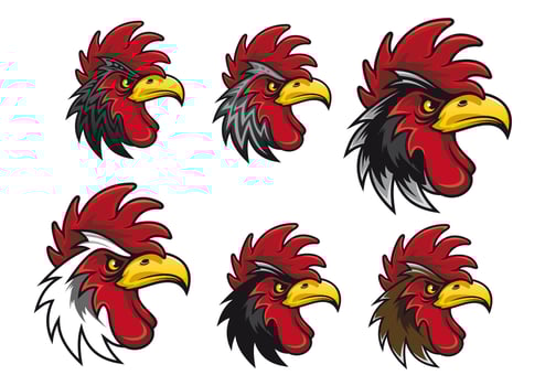 Cartoon cocks  character vector