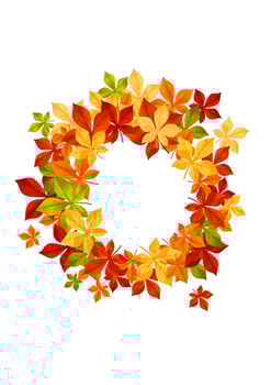 Autumn leaves background vector