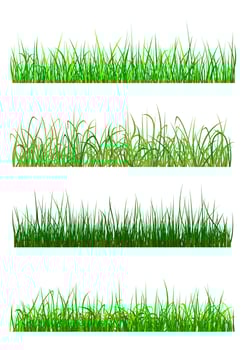 Field and meadow grass patterns vector