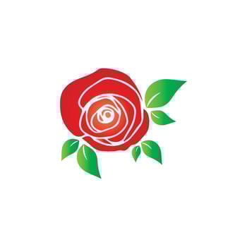 Beauty rose flower vector icon design template