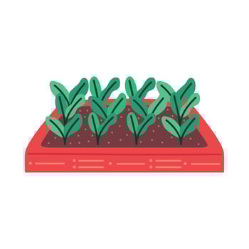 agriculture plants in wooden pot vector
