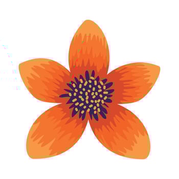 orange natural flower vector