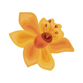 yellow exotic flower vector