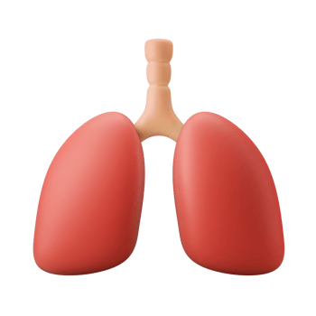 anatomy human lung internal breath organ 3d icon illustration png