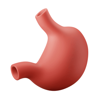 anatomy human stomach internal organ 3d icon illustration png