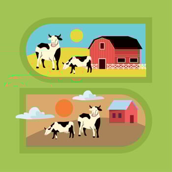 set of rural labels vector