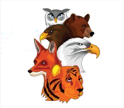 predators animals vector illustration for logo and t -shirt
