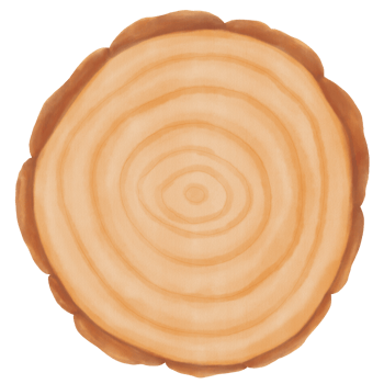 Decorative Watercolor Wooden Board Circle Bark Shape png
