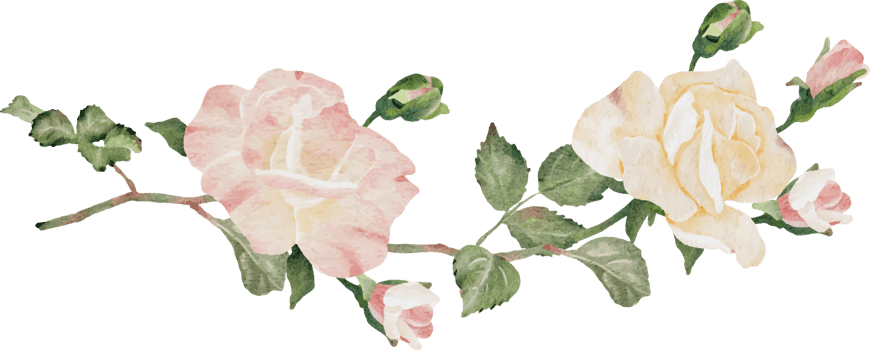 watercolor blooming rose branch flower bouquet devider png