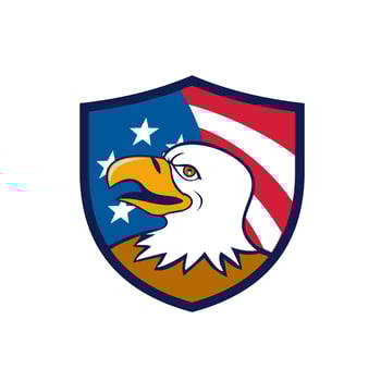 Bald Eagle Smiling USA Flag Crest Cartoon vector