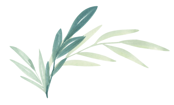 Floral branch. Wedding concept with flowers. It's perfect for greeting cards, wedding invitation, birthday. Watercolor illustration. png